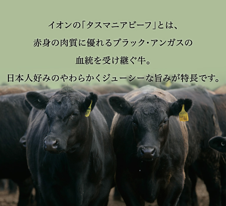 イオンの「タスマニアビーフ」とは、赤身の肉質に優れるブラックアンガスの血統を受け継ぐ牛。日本人好みのやわらかくジューシーな旨みが特長です。