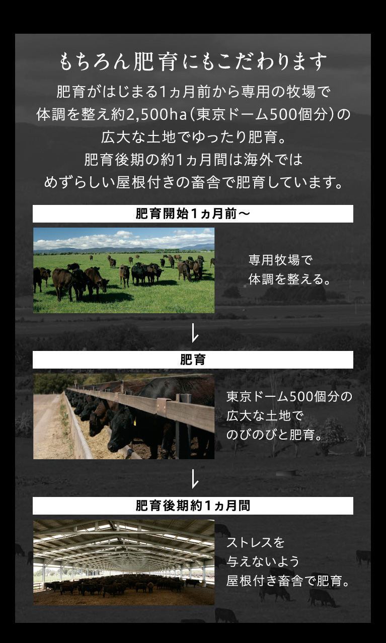 もちろん肥育にもこだわります肥育がはじまる1ヵ月前から専用の牧場で体調を整え約2,500ha（東京ドーム500個分）の広大な土地でゆったり肥育。肥育後期の約1ヵ月間は海外ではめずらしい屋根付きの畜舎で肥育しています。肥育開始１ヵ月前～専用牧場で体調を整える。肥育東京ドーム500個分の広大な土地でのびのびと肥育。肥育後期約１ヵ月間ストレスを与えないよう屋根付き畜舎で肥育。