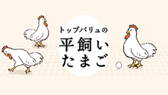 トップバリュの平飼いたまご