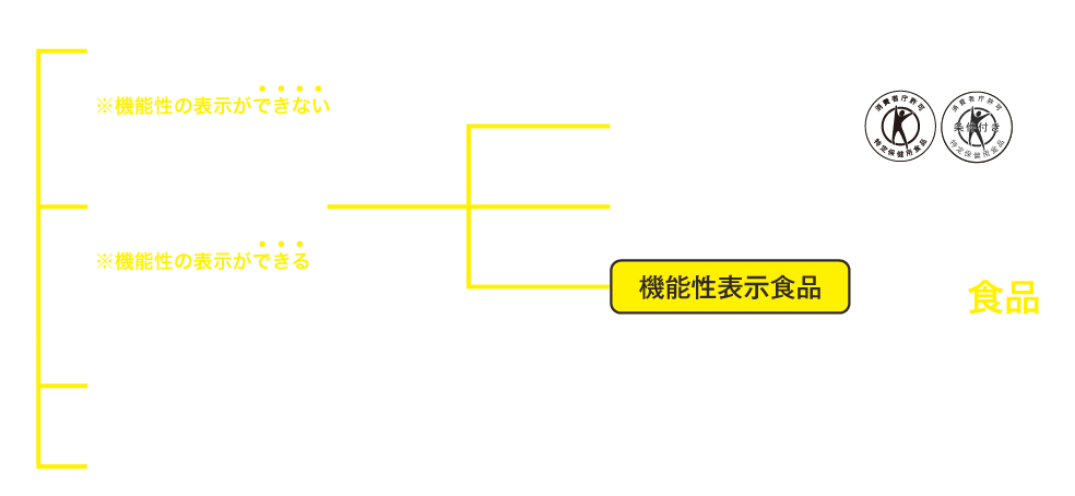 機能性表示の図