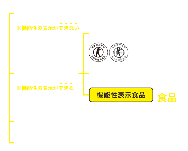 機能性表示の図
