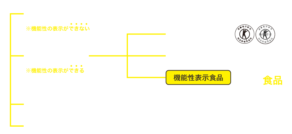機能性表示の図