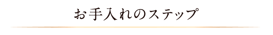 お手入れのステップ