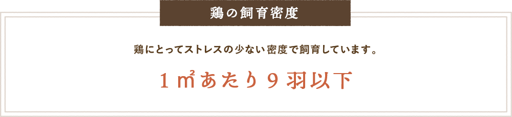鶏の飼育密度 鶏にとってストレスの少ない密度で飼育しています。1㎡あたり9羽