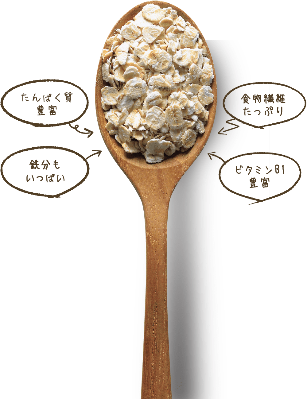 たんぱく質豊富 鉄分もいっぱい 食物繊維たっぷり ビタミンB1豊富
