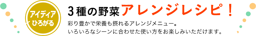 アイディア広がる3種の野菜アレンジ！彩り豊かで栄養も摂れるアレンジメニュー。いろんなシーンに合わせた使い方をお楽しみいただけます。