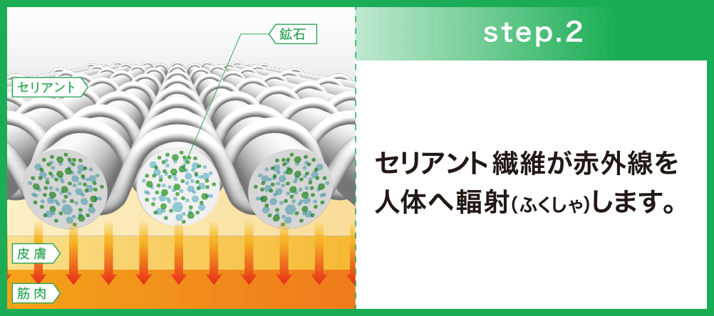 step.2 セリアント繊維が赤外線を人体へ輻射します。