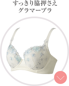 すっきり脇押さえグラマーブラ