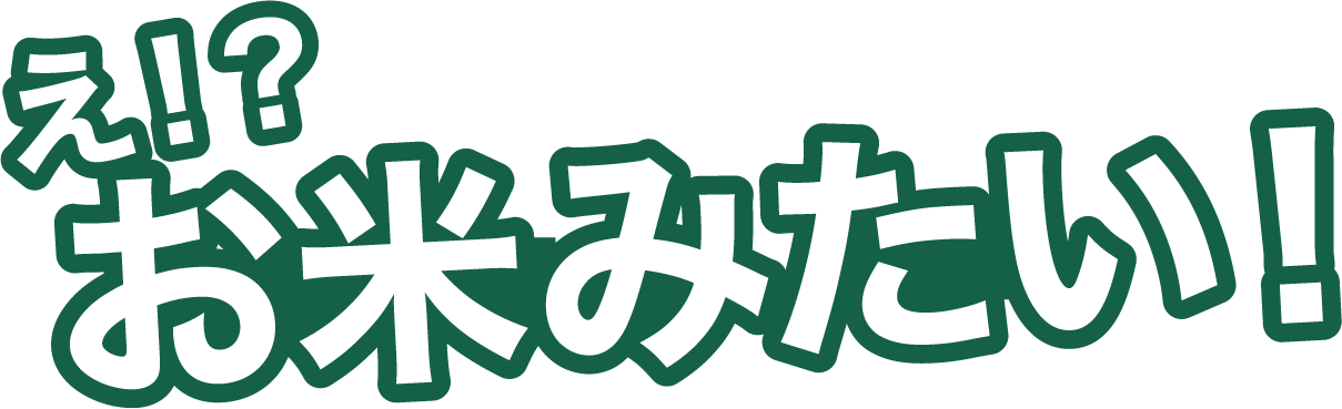 え!?お米みたい!