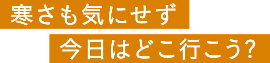 寒さも気にせず今日はどこ行こう?