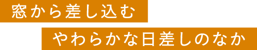 窓から差し込むやわらかな日差しのなか