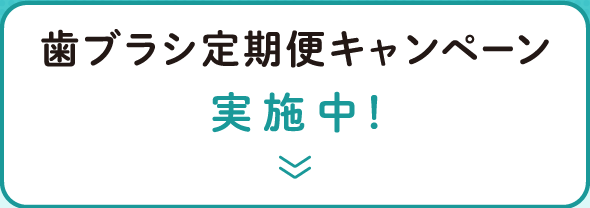 歯ブラシ定期便キャンペーン実施中！
