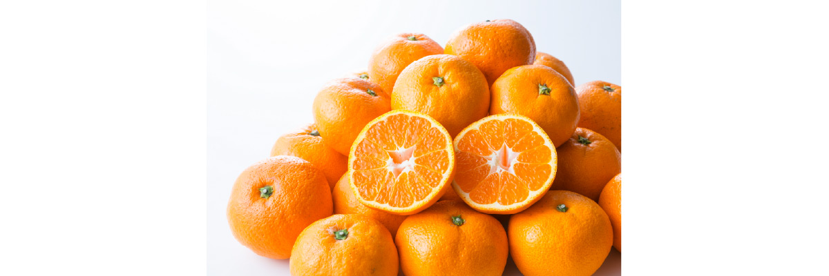 トップバリュ あまいこつぶみかん(和歌山/熊本/愛媛)