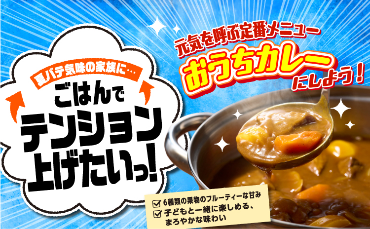 夏バテ気味の家族に…ごはんでテンション上げたいっ！ 元気を呼ぶ定番メニューおうちカレーにしよう！ 6種類の果物のフルーティーな甘み 子どもと一緒に楽しめる、まろやかな味わい