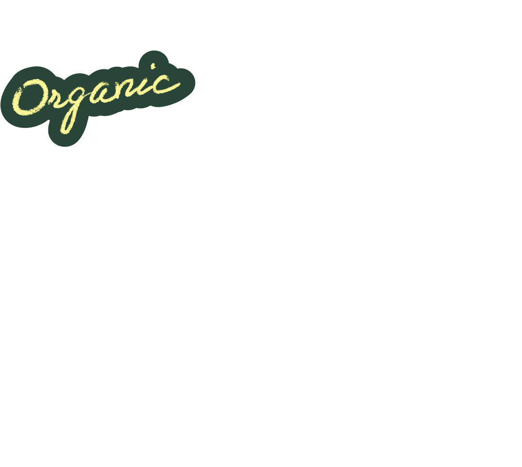 オーガニックきほんの「き」