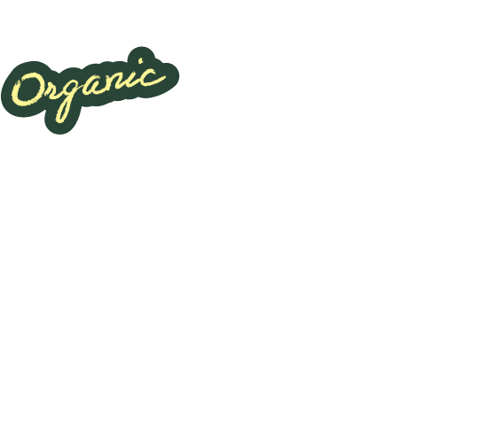 オーガニックきほんの「き」