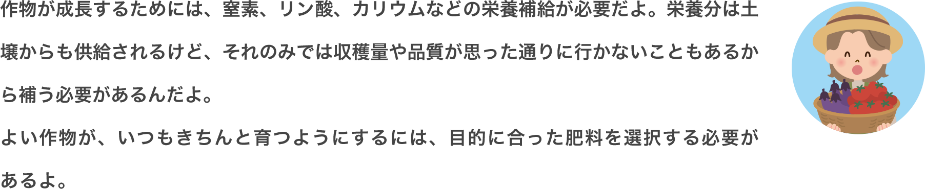 作物が成長するためには、窒素、リン酸、カリウムなどの栄養補給が必要だよ。栄養分は土壌からも供給されるけど、それのみでは収穫量や品質が思った通りに行かないこともあるから補う必要があるんだよ。よい作物が、いつもきちんと育つようにするには、目的に合った肥料を選択する必要があるよ。