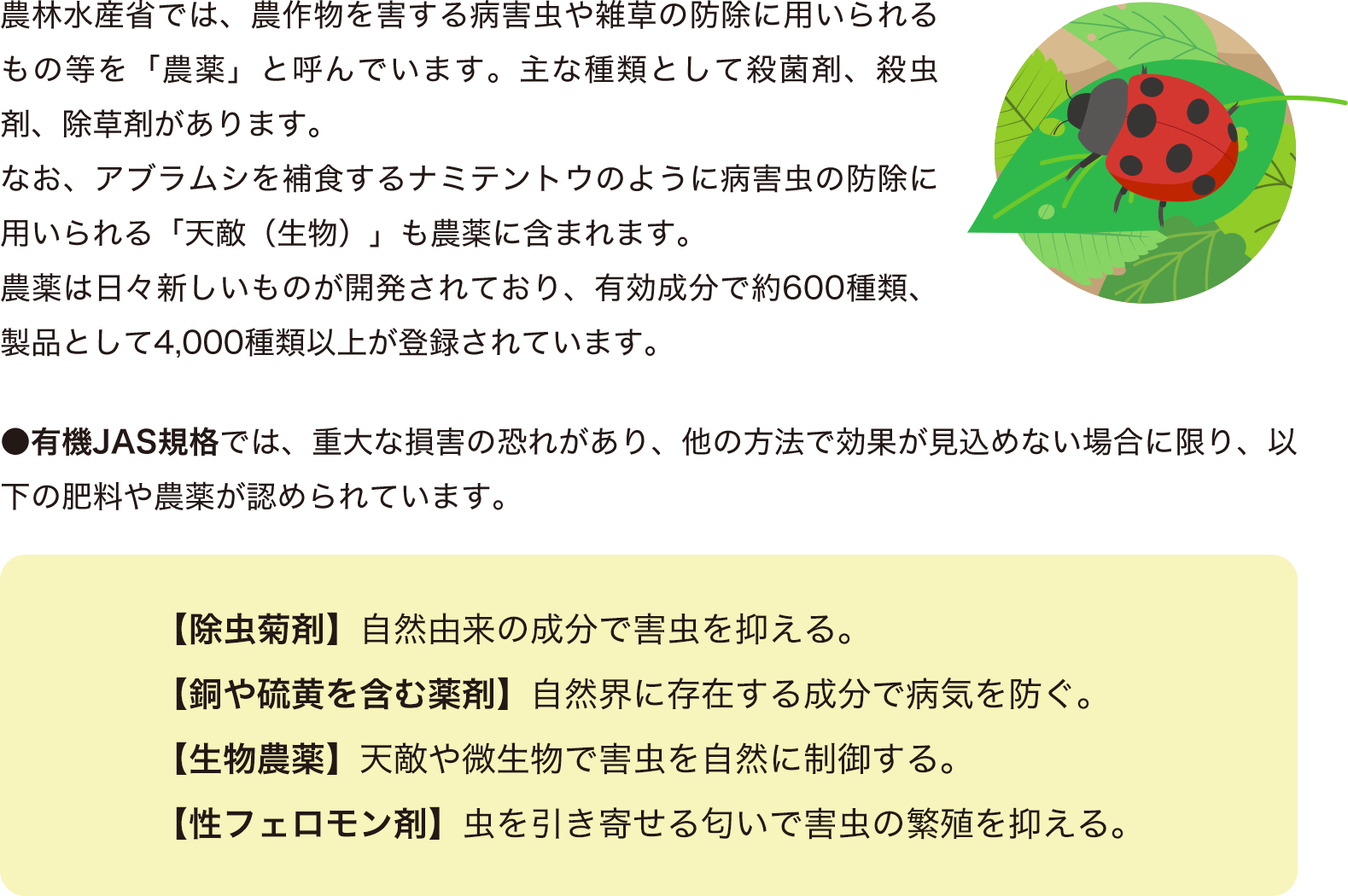 農林水産省では、農作物を害する病害虫や雑草の防除に用いられるもの等を「農薬」と呼んでいます。主な種類として殺菌剤、殺虫剤、除草剤があります。なお、アブラムシを補食するナミテントウのように病害虫の防除に用いられる「天敵（生物）」も農薬に含まれます。農薬は日々新しいものが開発されており、有効成分で約600種類、製品として4,000種類以上が登録されています。 ●有機JAS規格では、重大な損害の恐れがあり、他の方法で効果が見込めない場合に限り、以下の肥料や農薬が認められています。 【除虫菊剤】自然由来の成分で害虫を抑える。【銅や硫黄を含む薬剤】自然界に存在する成分で病気を防ぐ。【生物農薬】天敵や微生物で害虫を自然に制御する。【性フェロモン剤】虫を引き寄せる匂いで害虫の繁殖を抑える。