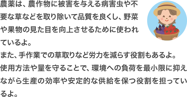 農薬は、農作物に被害を与える病害虫や不要な草などを取り除いて品質を良くし、野菜や果物の見た目を向上させるために使われているよ。また、手作業での草取りなど労力を減らす役割もあるよ。使用方法や量を守ることで、環境への負荷を最小限に抑えながら生産の効率や安定的な供給を保つ役割を担っているよ。