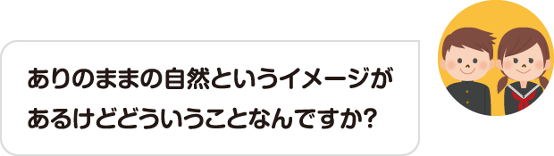 ありのままの自然というイメージがあるけどどういうことなんですか？