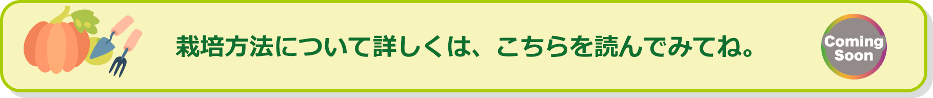 栽培方法について詳しくは、こちらを読んでみてね。