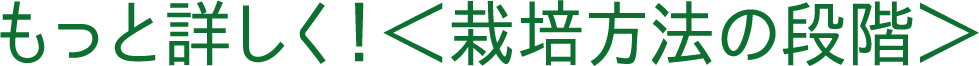 もっと詳しく！＜栽培方法の段階＞