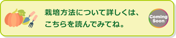 栽培方法について詳しくは、こちらを読んでみてね。