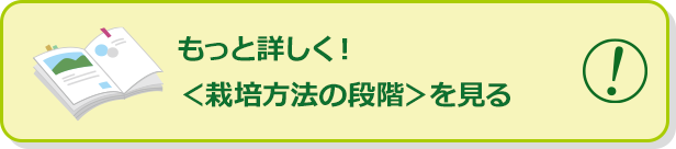 もっと詳しく！＜栽培方法の段階＞を見る