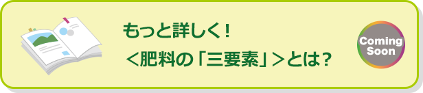 もっと詳しく！＜肥料の「三要素」＞とは？