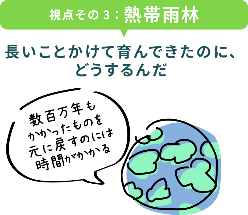 視点その3：熱帯雨林 長いことかけて育んできたのに、どうするんだ