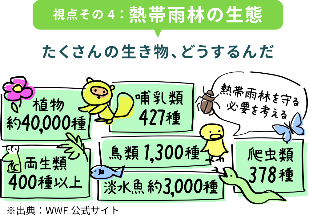 視点その4:熱帯雨林の生態 たくさんの生き物、どうするんだ