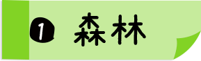 1.森林
