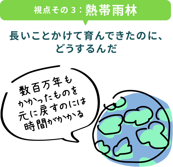 視点その3：熱帯雨林 長いことかけて育んできたのに、どうするんだ