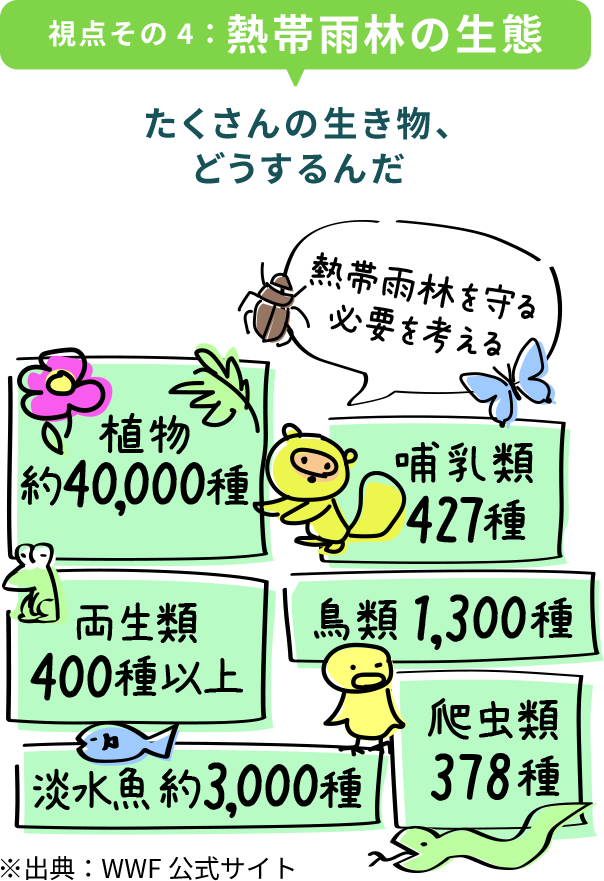視点その4：熱帯雨林の生態 たくさんの生き物、どうするんだ