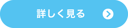 詳しく見る