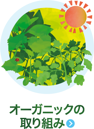 オーガニックの取り組み