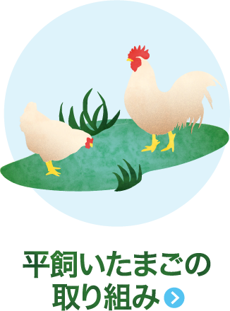 平飼いたまごの取り組み