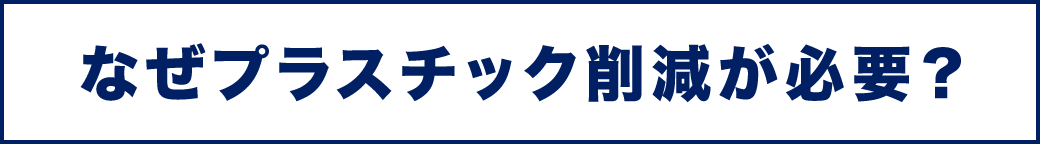 なぜプラスチック削減が必要？