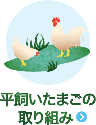 平飼いたまごの取り組み