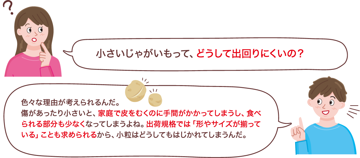 小さいじゃがいもって、どうして出回りにくいの？色々な理由が考えられるんだ。傷があったり小さいと、家庭で皮をむくのに手間がかかってしまうし、食べられる部分も少なくなってしまうよね。出荷規格では「形やサイズが揃っている」ことも求められるから、小粒はどうしてもはじかれてしまうんだ。
