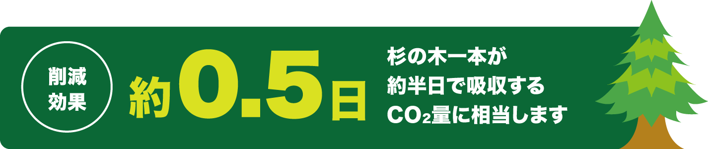 杉の木1本が約0.5日 吸収する二酸化炭素量に相当