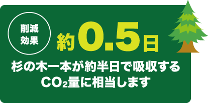 杉の木1本が約0.5日 吸収する二酸化炭素量に相当