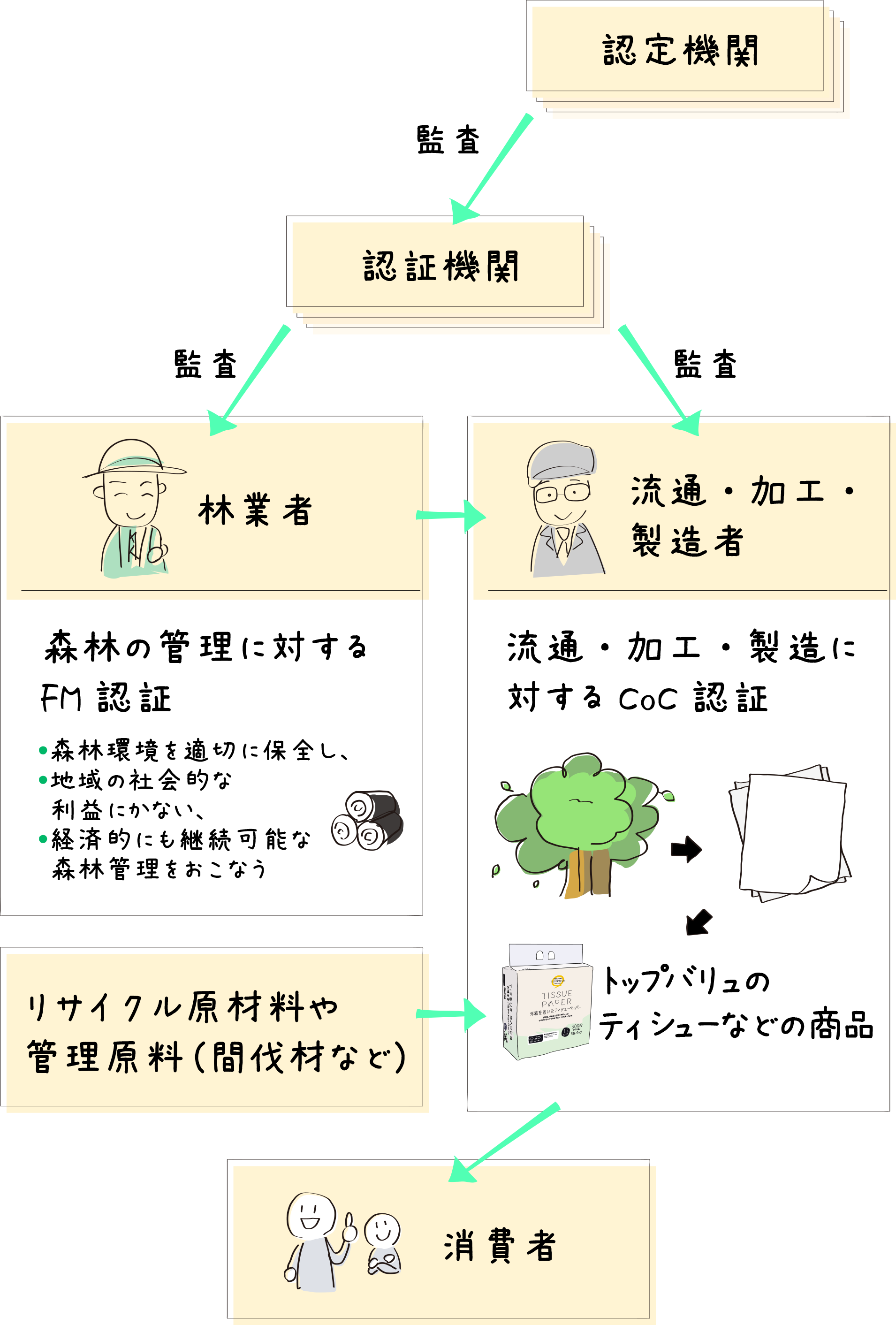 認定機関 監査→認証機関 監査→林業者 森林の管理に対するFM認証 森林環境を適切に保全し、地域の社会的な利益にかない、経済的にも継続可能な森林管理をおこなう／認証機関 監査→流通・加工・製造者 流通・加工に対するCoC認証 トップバリュのティシューなどの商品←リサイクル原材料や管理原料（間伐材など）→消費者