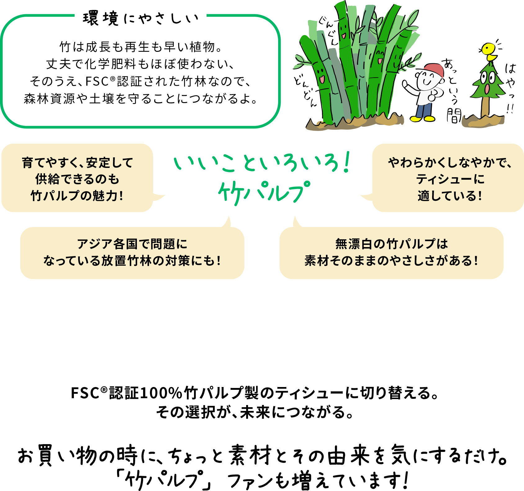 環境にやさしい 竹は成長も再生も早い植物。丈夫で化学肥料もほぼ使わない、そのうえ、FSC&reg;認証された竹林なので、森林資源や土壌を守ることにつながるよ。 いいことがいろいろ！竹パルプ 育てやすく、安定して供給できるのも竹パルプの魅力！ アジア各国で問題になっている放置竹林の対策にも！ 無漂泊の竹パルプは素材そのままのやさしさがある！ やわらかくしなやかで、ティシューに適している！ FSC&reg;認証100％竹パルプ製のティシューに切り換える。その選択が、未来につながる。 お買物の時に、ちょっと素材とその由来を気にするだけ。「竹パルプ」ファンも増えています！
