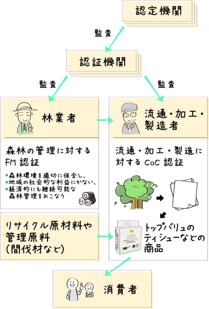 認定機関 監査→認証機関 監査→林業者 森林の管理に対するFM認証 森林環境を適切に保全し、地域の社会的な利益にかない、経済的にも継続可能な森林管理をおこなう／認証機関 監査→流通・加工・製造者 流通・加工に対するCoC認証 トップバリュのティシューなどの商品←リサイクル原材料や管理原料（間伐材など）→消費者
