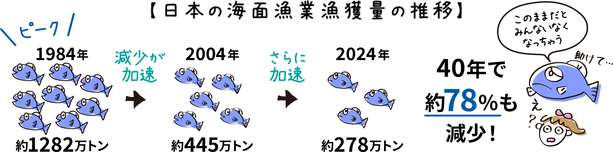 【日本の海面漁業漁獲量の推移】 1984年約1282万トン→2004年約445万トン→2024年約278万トン 40年で約78％も減少！