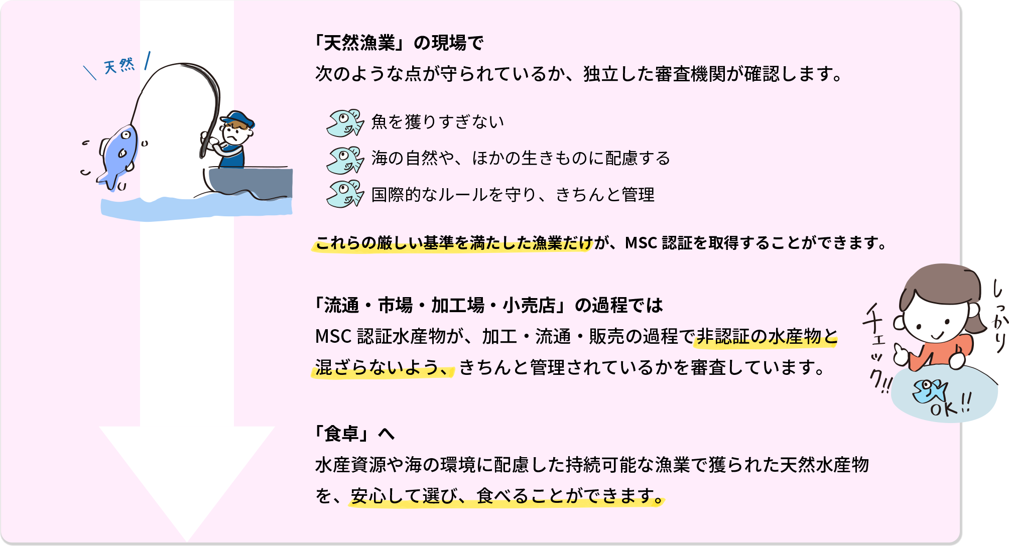 「天然漁業」の現場 次のような点が守られているか、独立した審査機関が確認します。 魚を獲りすぎない 海の自然や、ほかの生きものに配慮する 国際的なルールを守り、きちんと管理 これらの厳しい基準を満たした漁業だけが、MSC認証を取得することができます。 「流通・市場・加工場・小売店」の過程では MSC認証水産物が、加工・流通・販売の過程で非認証の水産物と混ざらないよう、きちんと管理されているかを審査しています。 「食卓」へ 水産資源や海の環境に配慮した持続可能な漁業で獲られた天然水産物を、安心して選び、食べることができます。