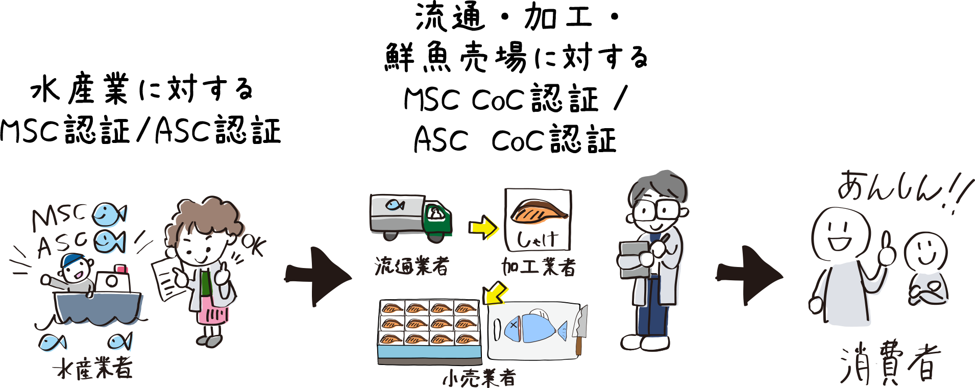水産業に対するMSC認証/ASC認証→流通・加工・鮮魚売場に対するMSC CoC認証/ASC CoC認証→あんしん!!