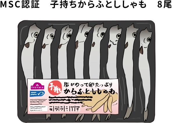 MSC認証 子持ちからふとししゃも8尾