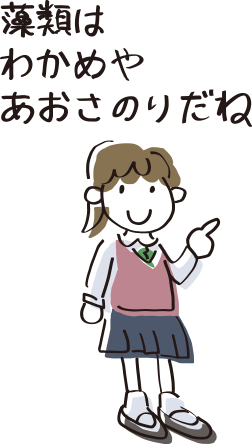 藻類はわかめやあおさのりだね